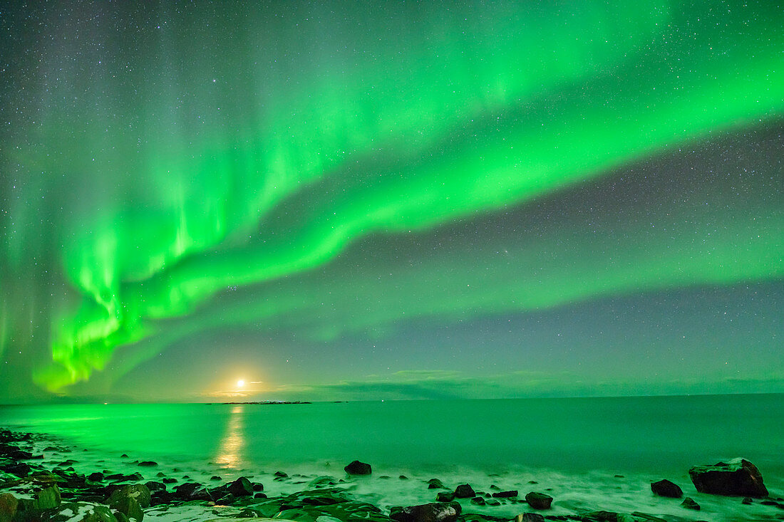 Polarlicht über Meeresbucht mit Mond, Polarlicht, Nordlicht, Lofoten, Nordland, Norwegen