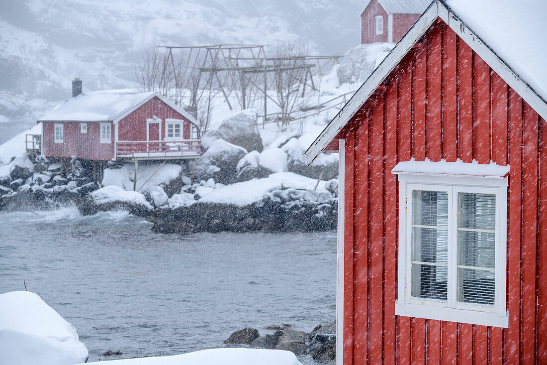Norwegische rote Fischerhäuser im Schneesturm, Nusfjord, Lofoten, Nordland, Norwegen
