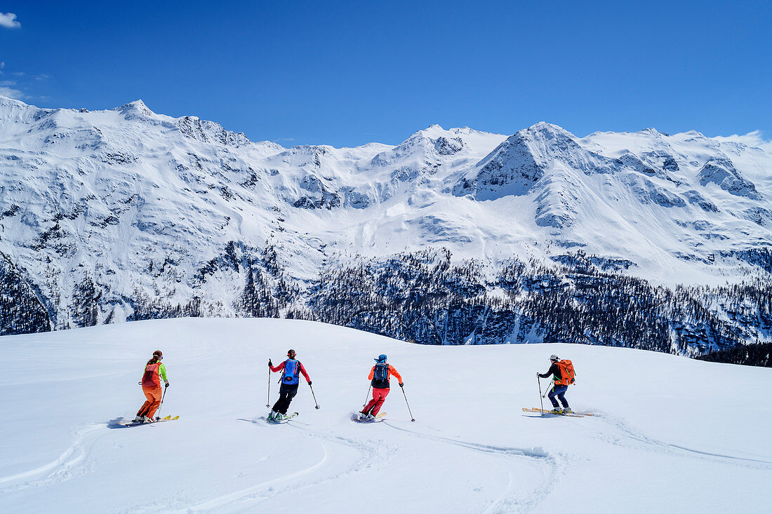 Four people go on a ski tour, Lyfispitze, Ortler Group, South Tyrol, Italy