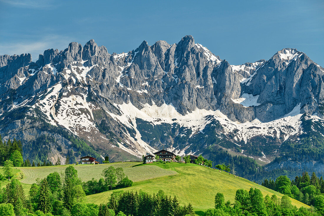 Farm stands in front of Kaiser Mountains, Kaiser Mountains, Wilder Kaiser, Tyrol, Austria