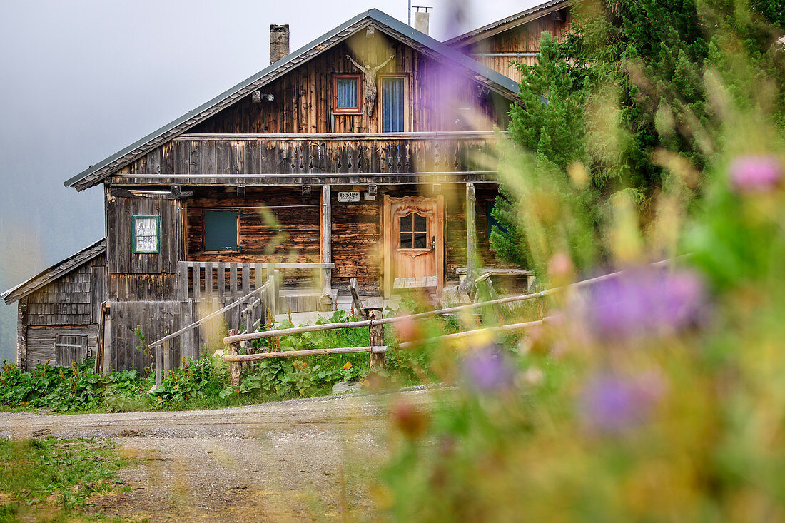 Traditional alpine hut made of wood, Holzalpe, Vier-Almen-Marsch, Zillertal, Tux Alps, Tyrol, Austria