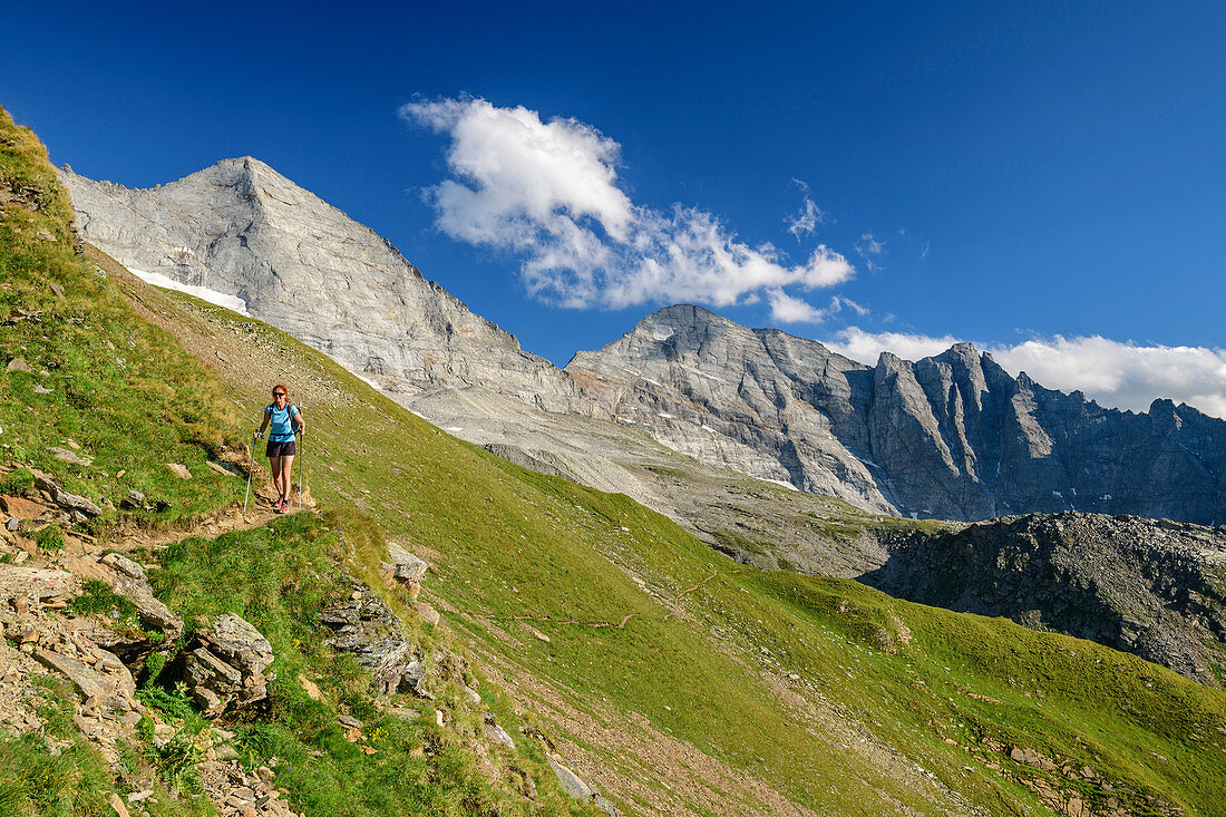 Frau wandert auf Höhenweg, Fußstein und Schrammacher im Hintergrund, Geraer Hütte, Peter-Habeler-Runde, Zillertaler Alpen, Tirol, Österreich