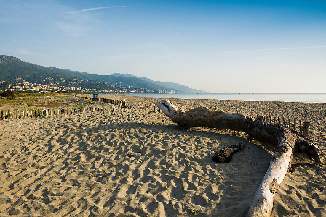 deserted sandy beach, Marana, near Bastia, Haute-Corse, Corsica, France