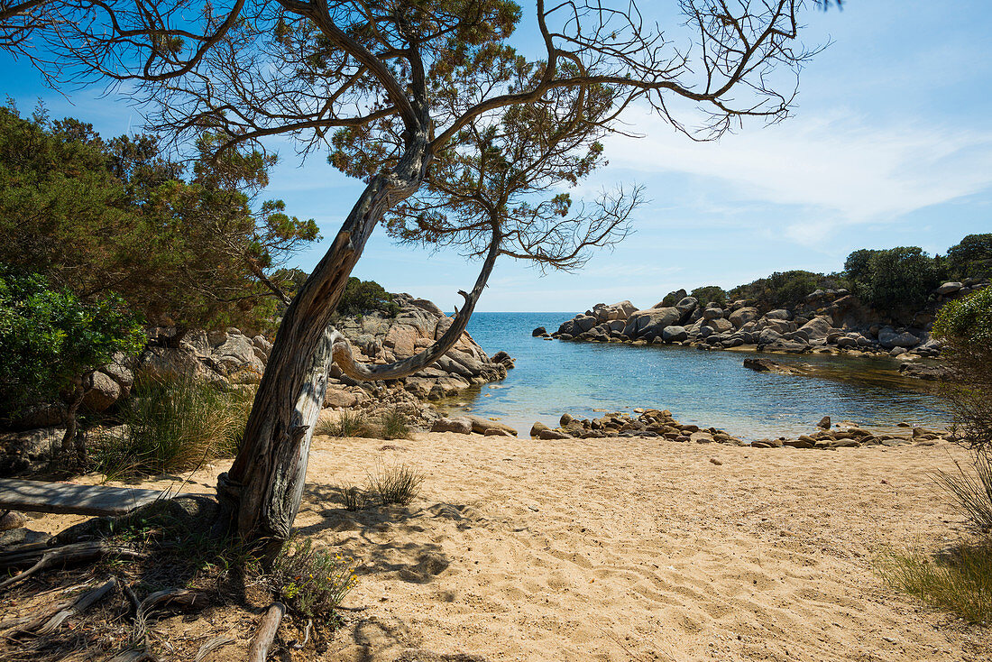 Küstenlandschaft und Sandstrand, bei Sartène, Département Corse-du-Sud, Korsika, Frankreich