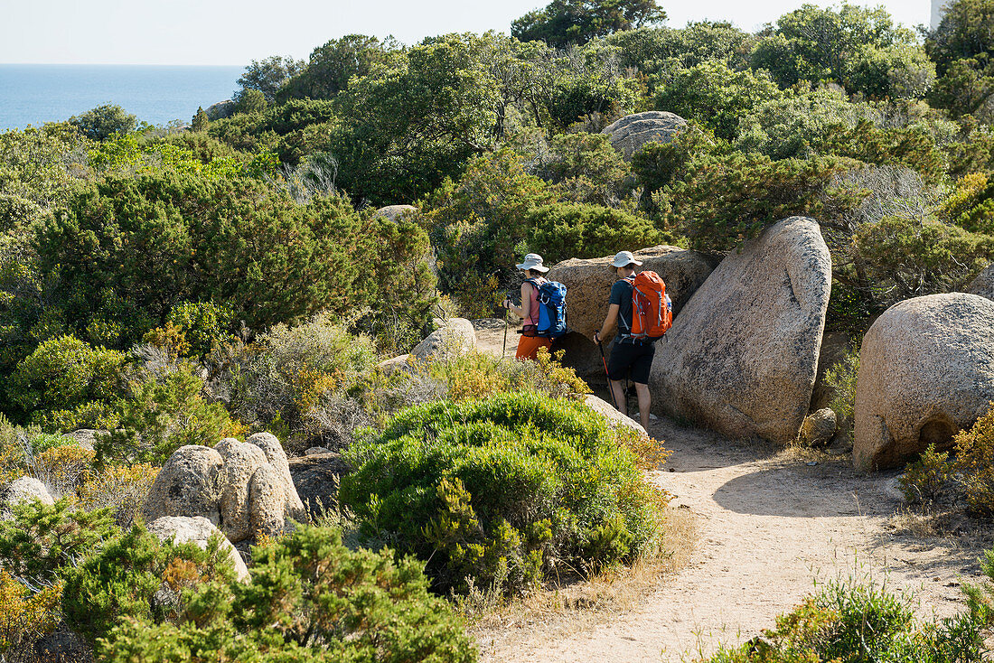 Hikers on the south coast of Corsica, at Sartène, Corse-du-Sud, Corsica, France