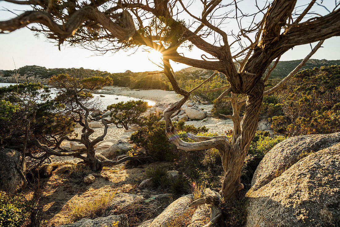 Coastal landscape and lonely sandy beach, near Sartène, Corse-du-Sud, Corsica, France