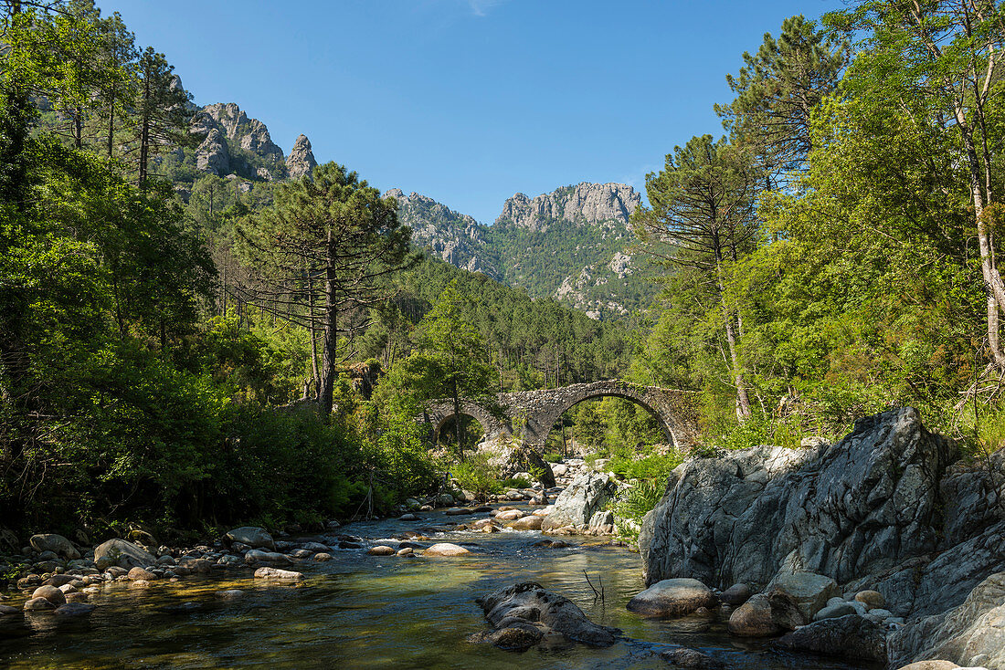 Alte Genueserbrücke, Sampolu, bei Ghisonaccia, Département Corse-du-Sud, Korsika, Frankreich