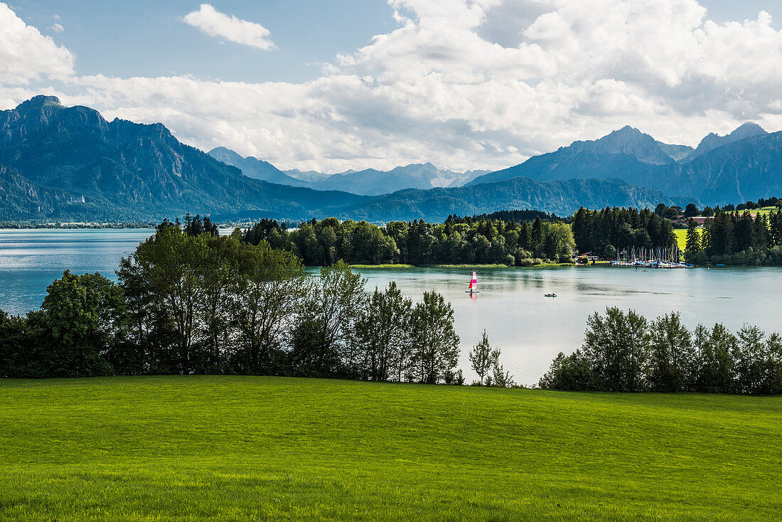 Forggensee, bei Füssen, Ostallgäu, Allgäu, Bayern, Deutschland