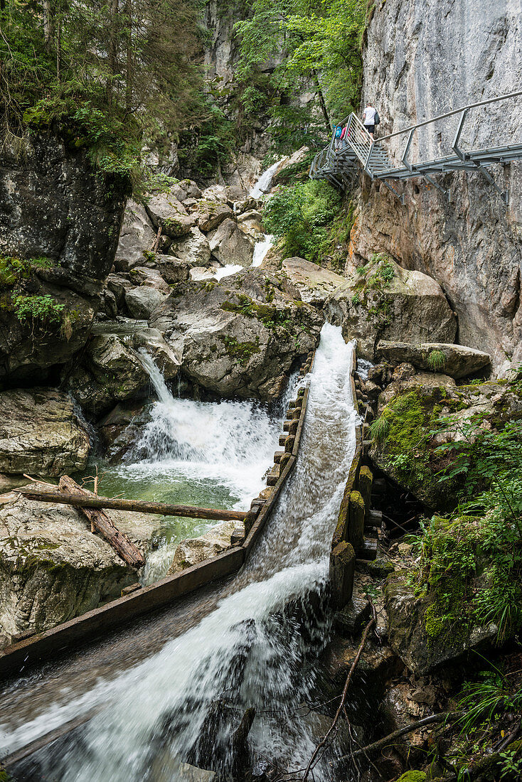 Pöllathschlucht unterhalb von Schloss Neuschwanstein, bei Füssen, Ostallgäu, Allgäu, Bayern, Deutschland