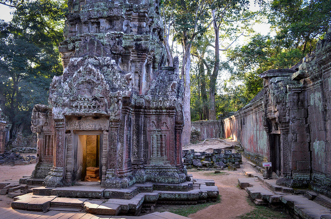 Ankor Wat, ein historischer Khmer-Tempel aus dem 12. Jahrhundert und UNESCO-Weltkulturerbe, Bögen und geschnitzter Stein mit großen Wurzeln breiten sich über das Mauerwerk