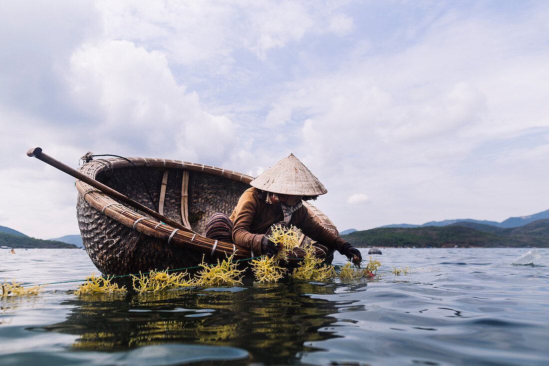 Woman wearing straw hat farming seaweed from a small wooden boat.
