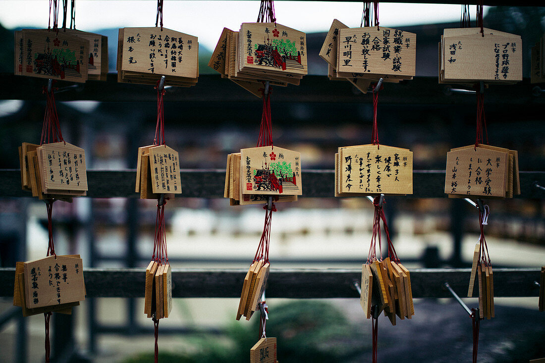 Close up of wooden tablets with messages written in Japanese at a shrine.
