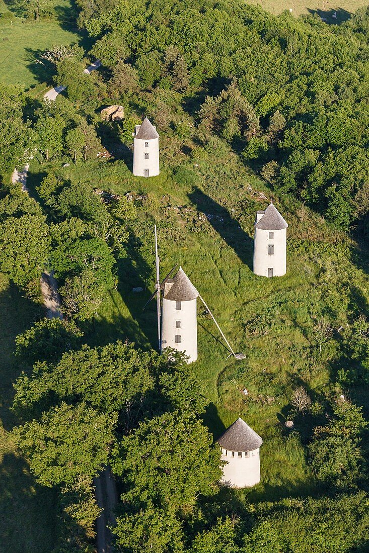 France, Vendee, Mouilleron en Pared, windmills on la colline des moulins (aerial view)