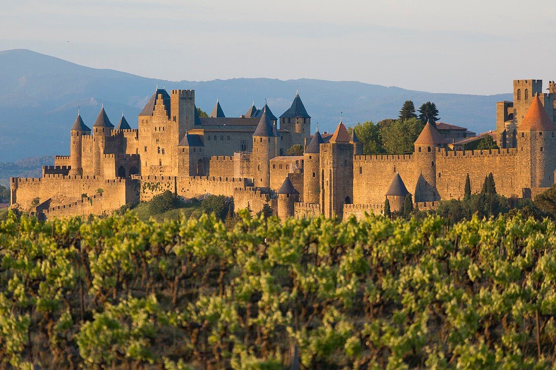 Frankreich, Aude, die ummauerte Stadt Carcassonne, UNESCO Weltkulturerbe