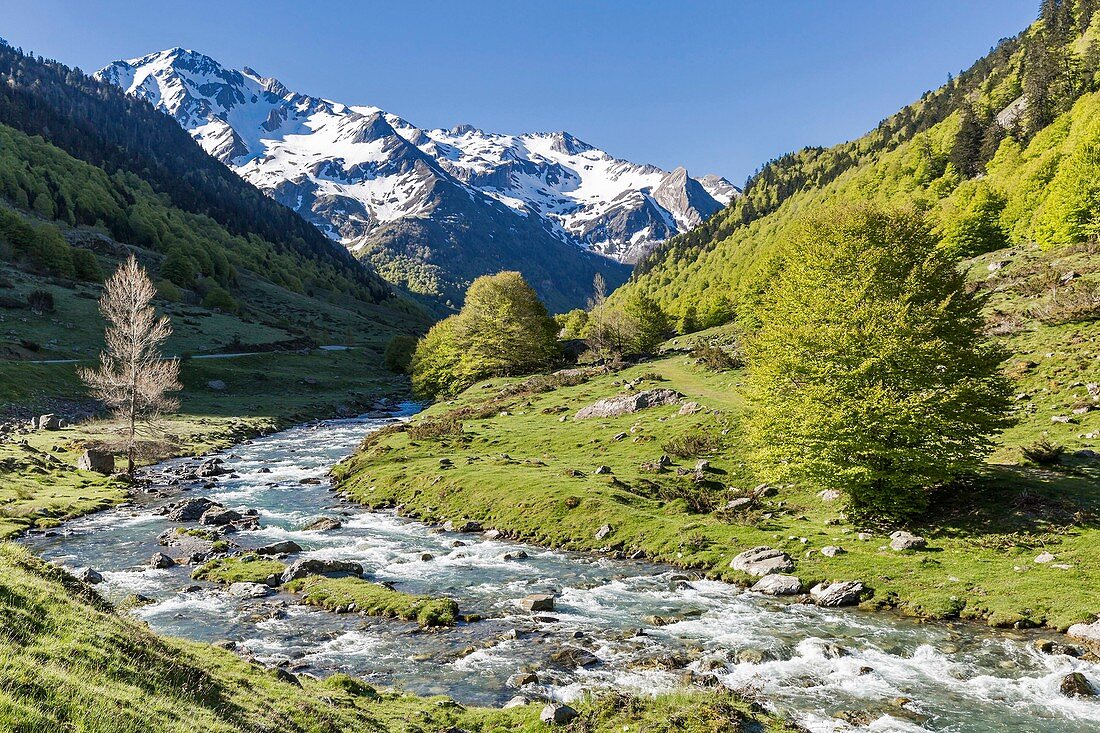 Frankreich, Pyrenäen Atlantiques, Fabreges, Ossau-Tal in der Nähe des Pourtalet-Passes und des Lurien-Gipfels