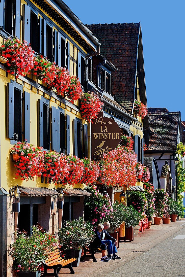 Frankreich, Bas Rhin, Weinstraße, Itterswiller, Fassade der Häuser, Hotelrestaurant Arnold, Fenster mit Blumen