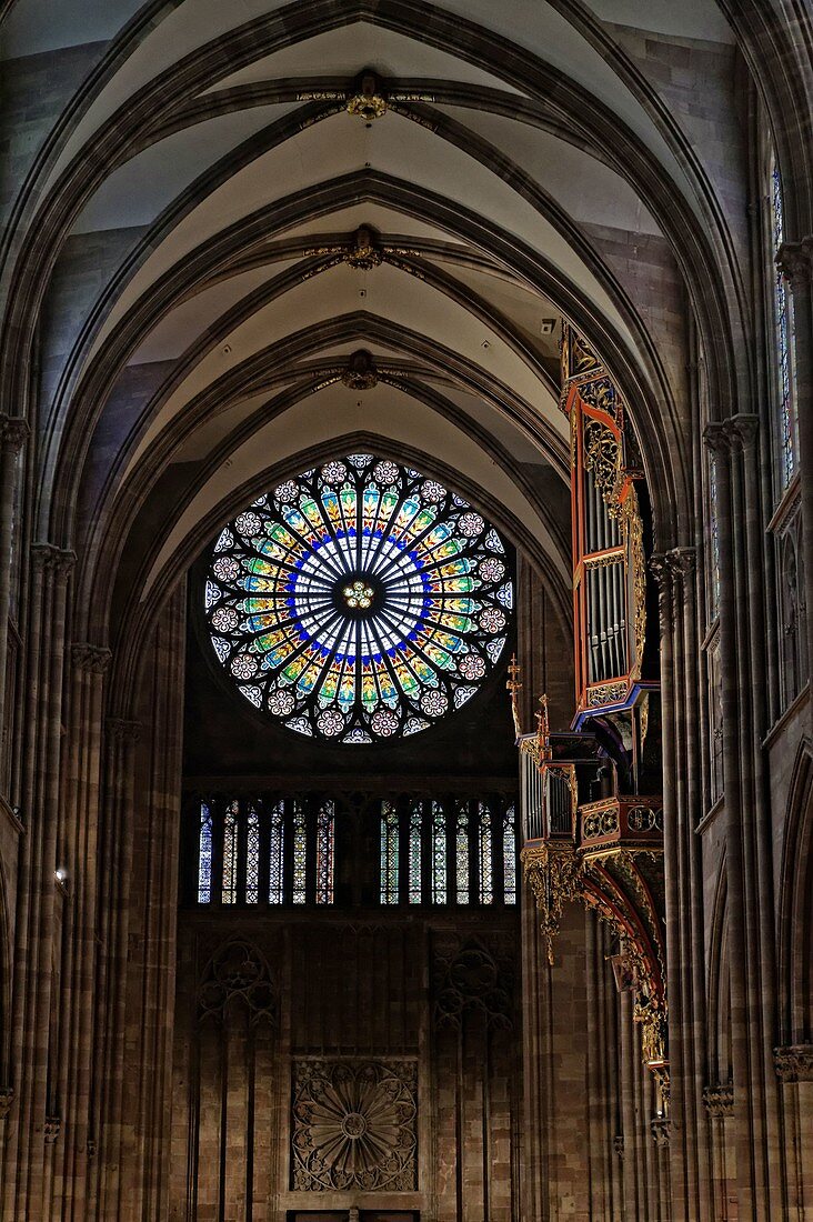 France, Bas Rhin, Strasbourg, old town listed as World Heritage by UNESCO, Notre Dame Cathedral, rose 15 m in diameter, organ