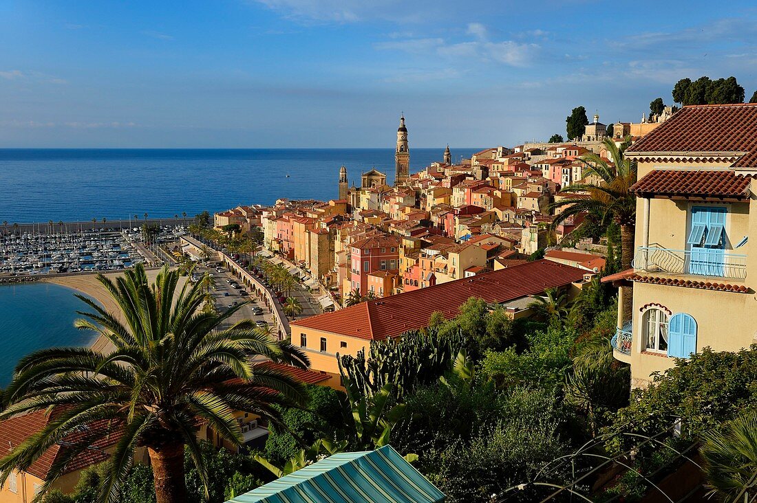 France, Alpes Maritimes, Menton, old town dominated by the St Michel Basilica