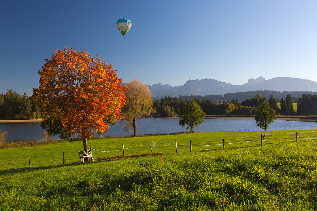 Balloon over the Schwaltenweiher near Seeg, view of the chain of the Allgäu Alps, Allgäu, Bavaria, Germany