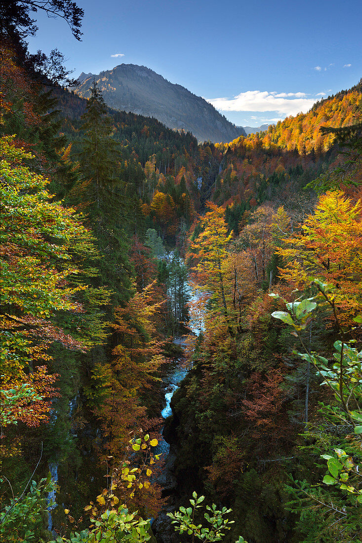 Bergbach Ostrach im Hintersteiner Tal bei Bad Hindelang, Allgäu, Bayern, Deutschland