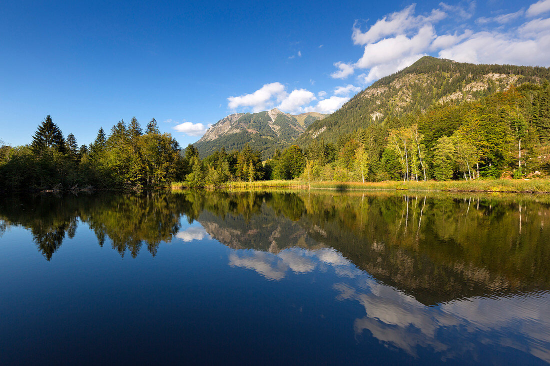 Moorweiher bei Oberstdorf, Allgäu, Bayern, Deutschland