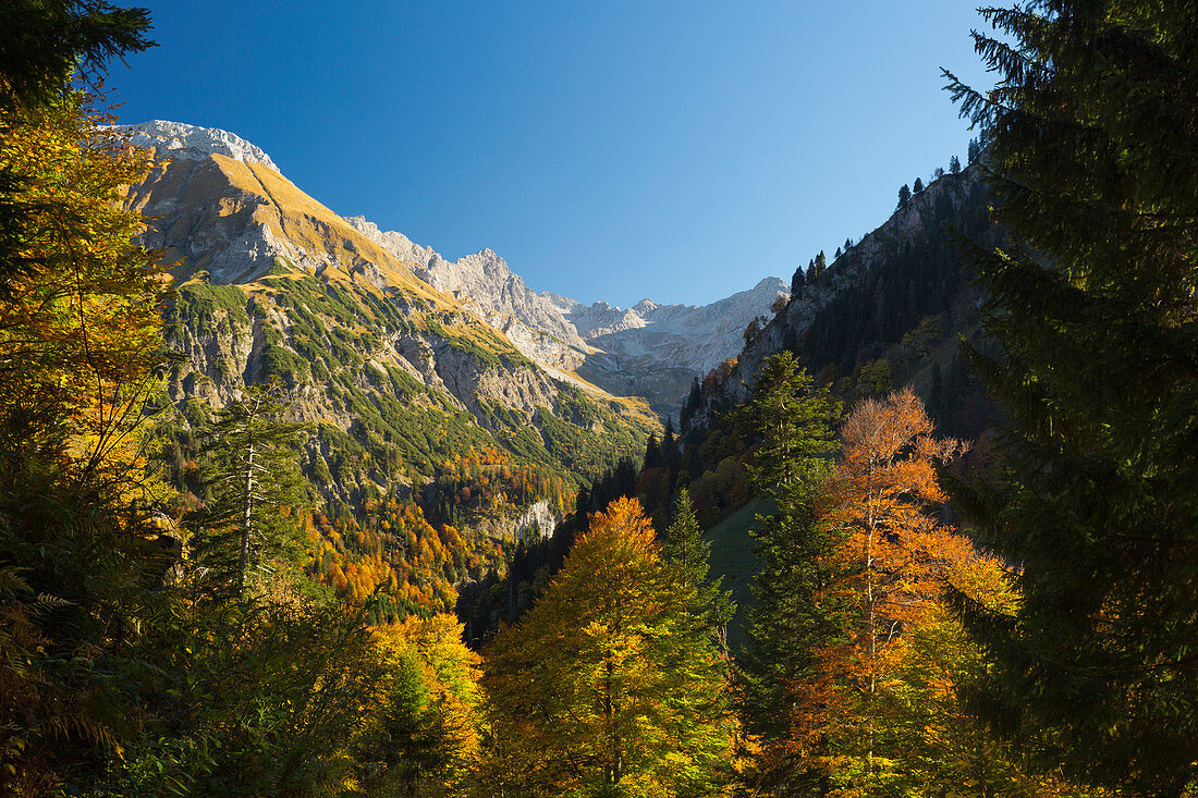 Herbst im Hintersteiner Tal bei Bad Hindelang, Allgäu, Bayern, Deutschland