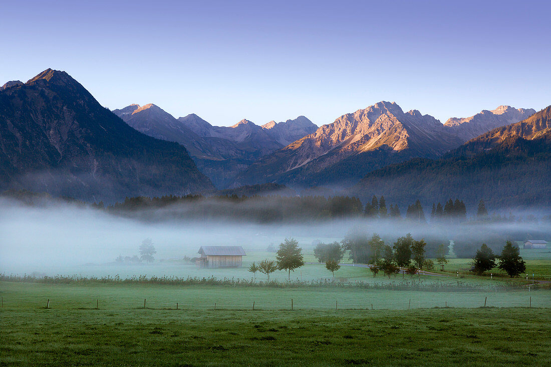 Morgenstimmung mit Nebel, Blick über die Almwiesen bei Oberstdorf, Allgäu, Bayern, Deutschland