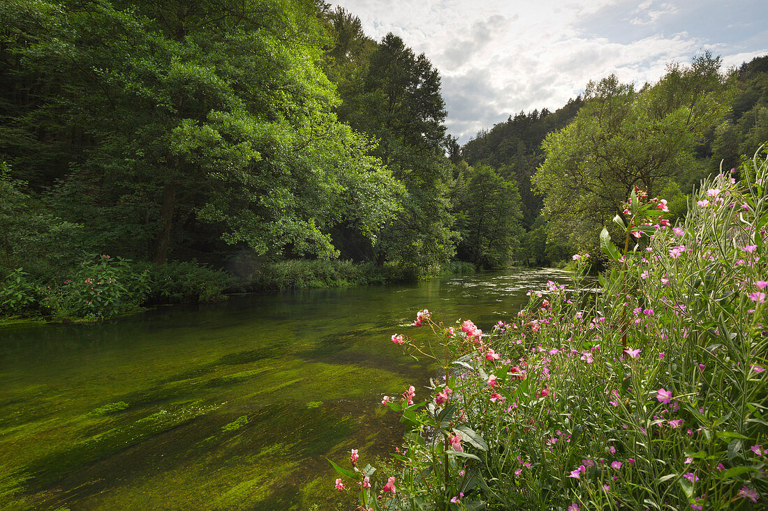 Tal der Pegnitz, Frankenalb, Fränkische Alb, Franken, Bayern, Deutschland