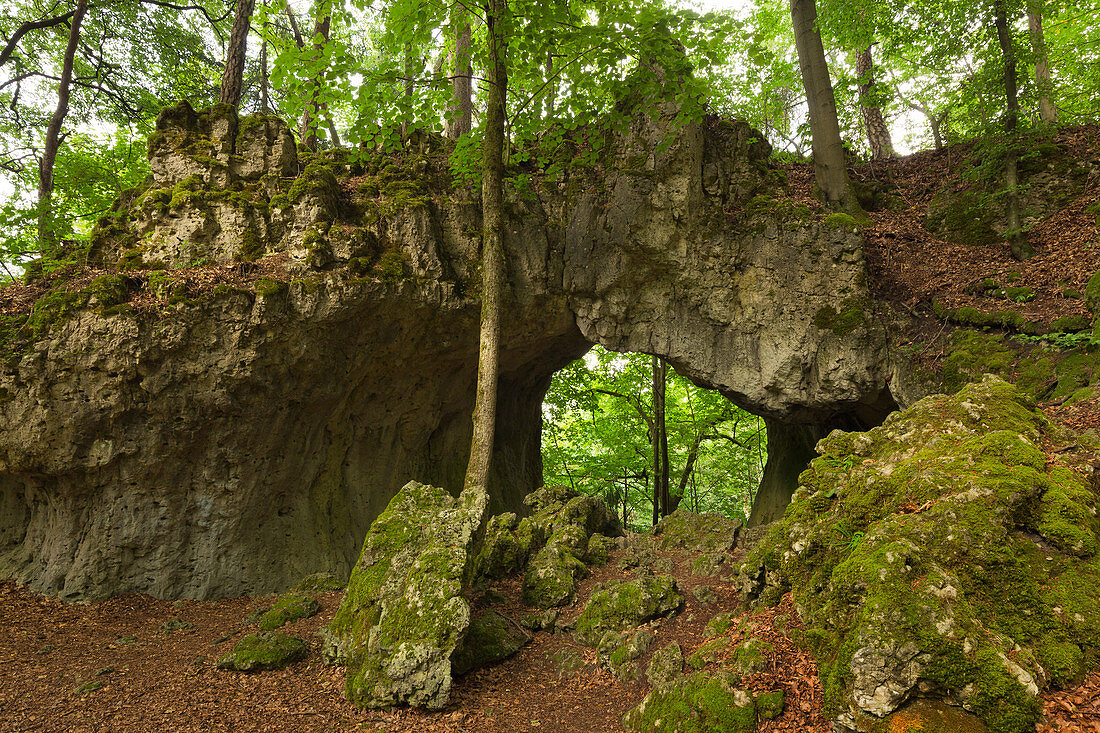 Schönstein Cave, near Streitberg, Franconian Switzerland, Franconia, Bavaria, Germany