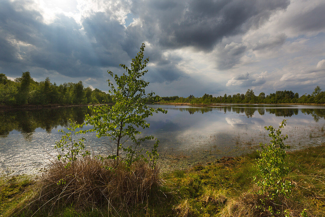 Moorlandschaft im Emsland, Niedersachsen, Deutschland