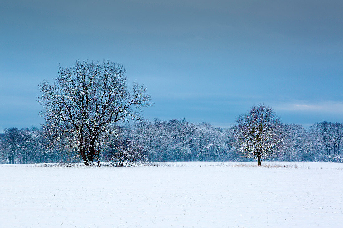 Winter landscape, Münsterland, North Rhine-Westphalia, Germany