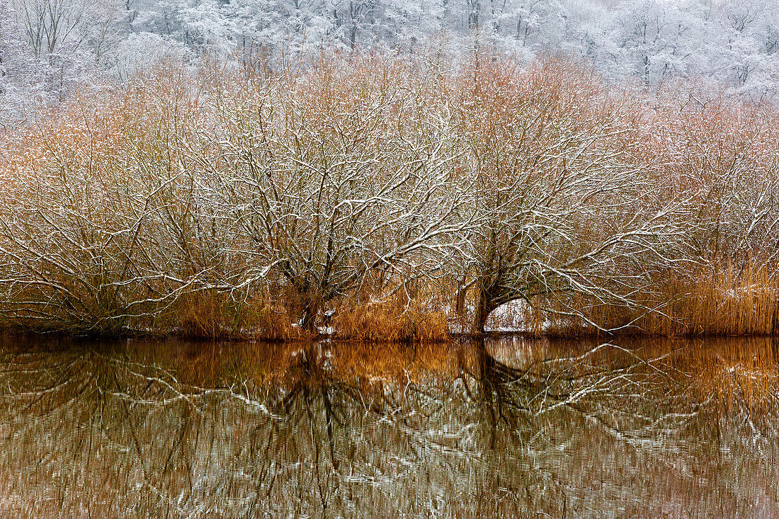 Ruhr meadows in winter, near Hattingen, Ruhr area, North Rhine-Westphalia, Germany
