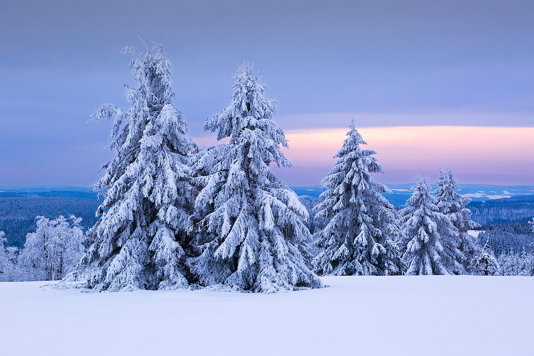 Winter landscape at Kahlen Asten near Winterberg, Sauerland, North Rhine-Westphalia, Germany