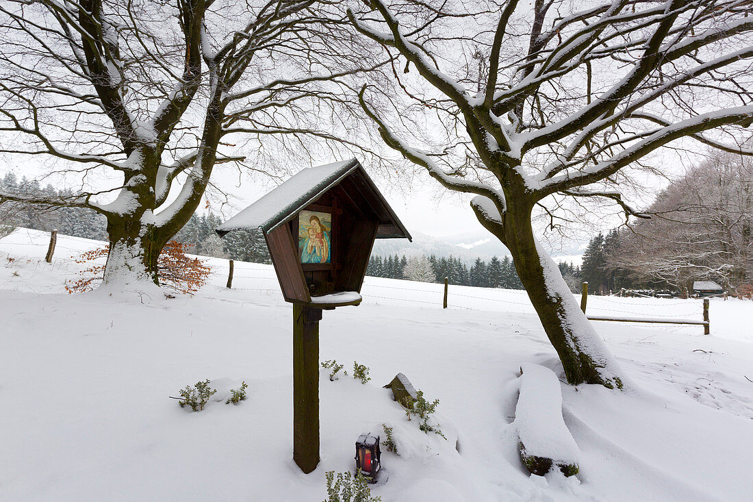 Crossroads, winter landscape on the Hohen Hagen near Winterberg, Sauerland, North Rhine-Westphalia, Germany
