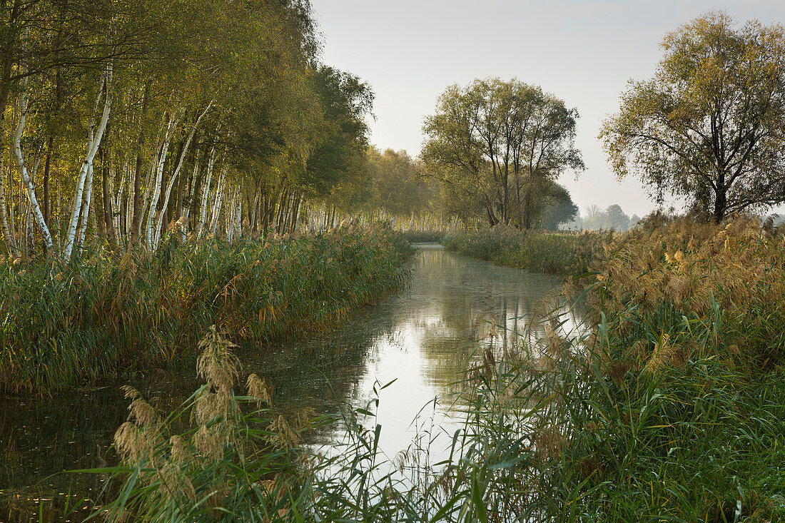 Small canal on the Spreewald, Brandenburg, Germany