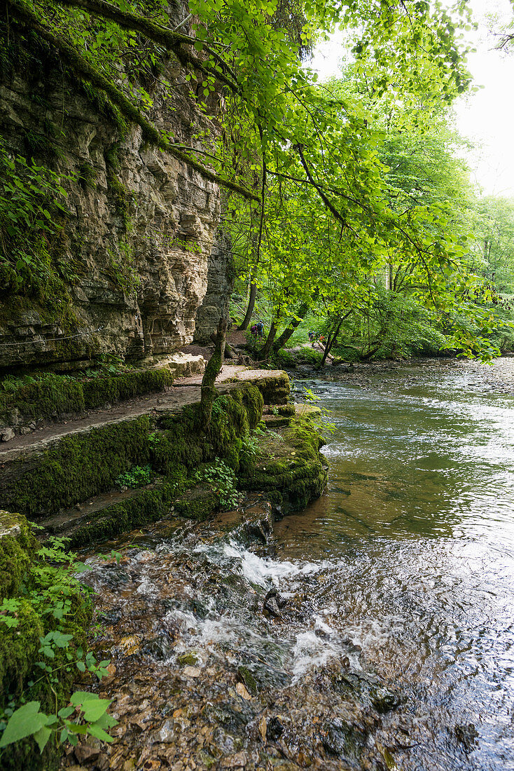 Wutach Gorge, Bonndorf, Baden-Württemberg, Black Forest, Germany