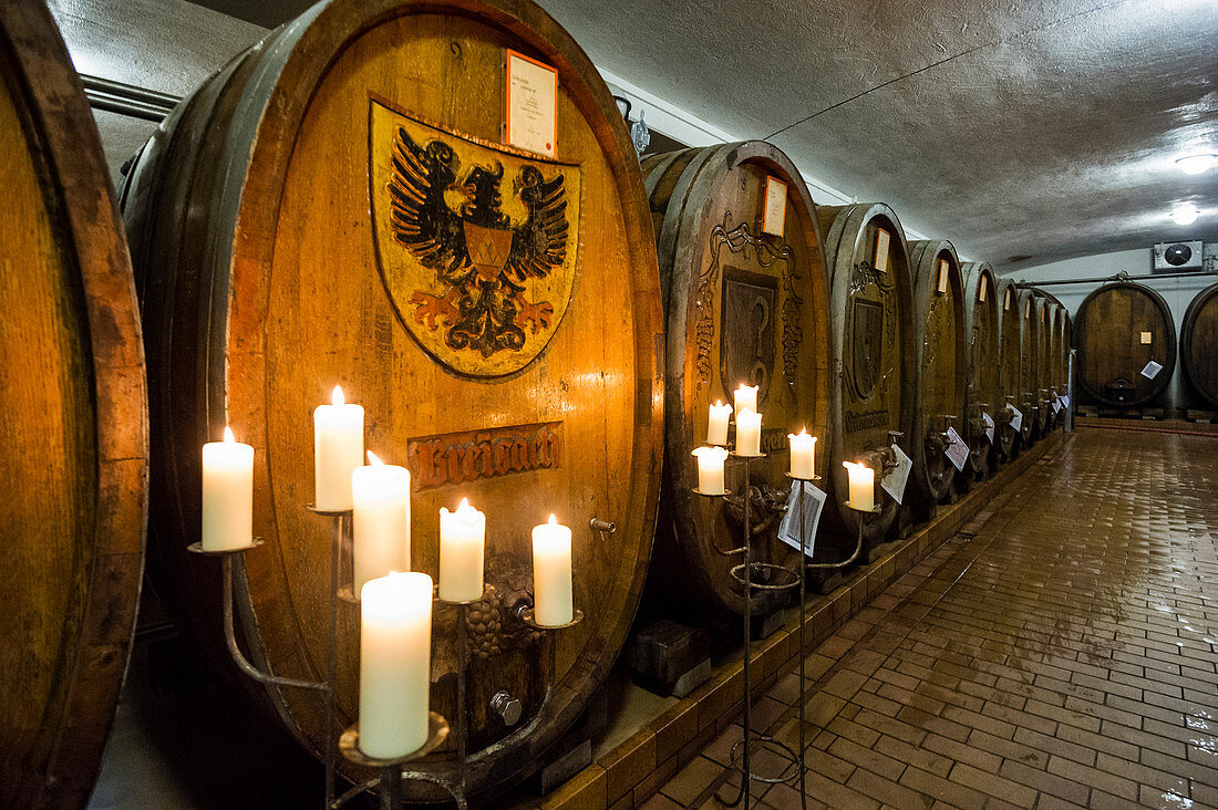 Old wine barrels, Badischer Winzerkeller, Breisach am Rhein, Breisgau, Black Forest, Baden-Württemberg, Germany