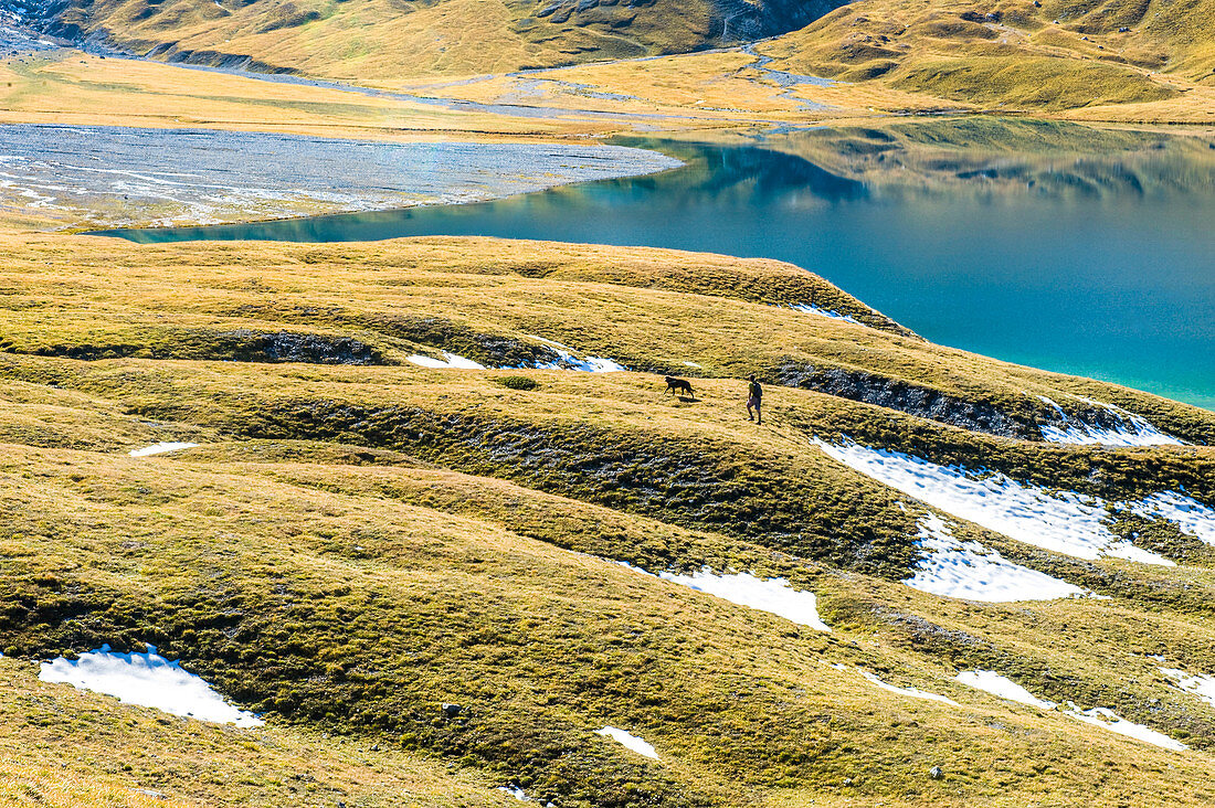 Man walks with a dog over green hills towards Graubünden mountain lake. Lai da Rims. Switzerland. Graubünden, Europe