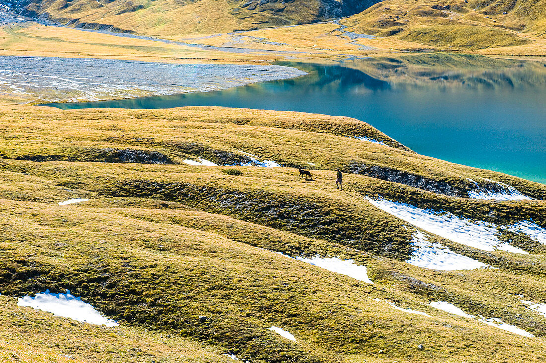 Mann wandert mit Hund über grüne Hügel in Richtung Bündner Bergsee, Lai da Rims, Schweiz, Graubünden, Europa