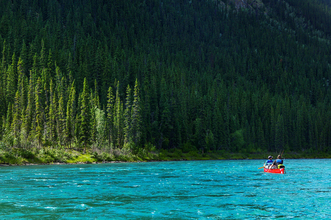 Canoeists on the Yukon River in front of a pine forest. Yukon River, Yukon Territory, Canada