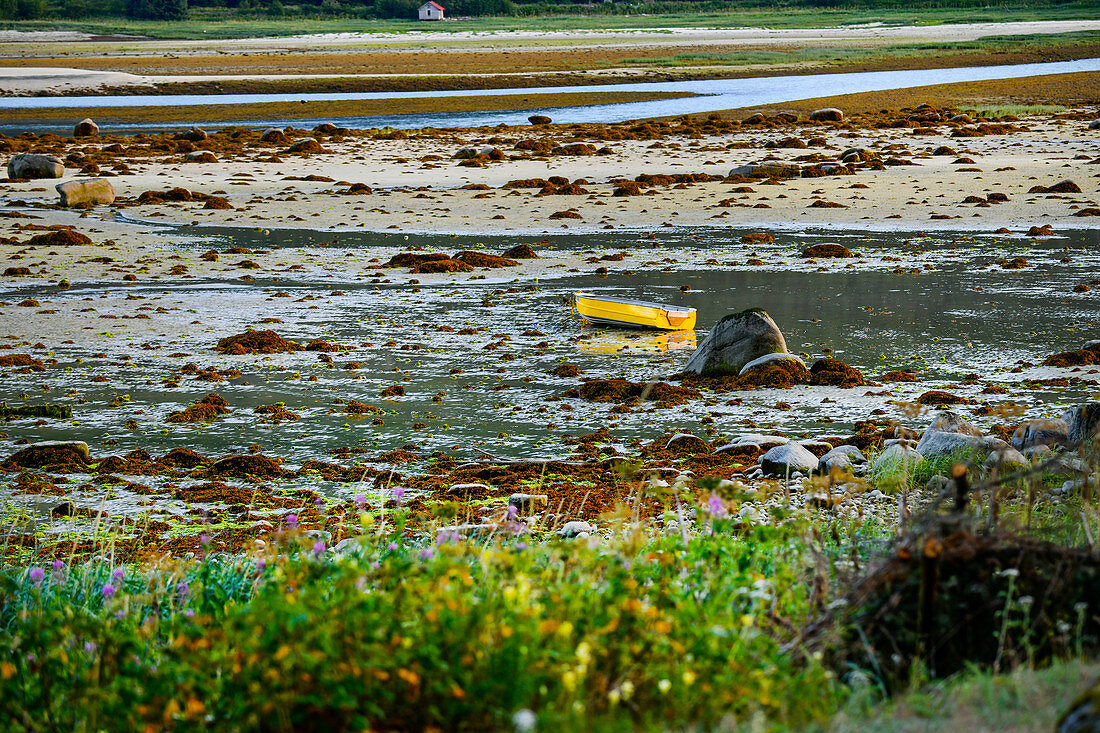 Kleines gelbes Boot bei Ebbe in der Bucht von Haines, Alaska