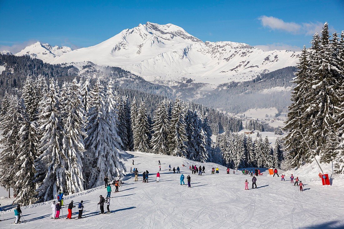 France, Haute Savoie, Morzine, Les Gets, the valley of Aulps, ski slopes of the Portes du Soleil, Chablais, view of the Roc d'Enfer (2243m)