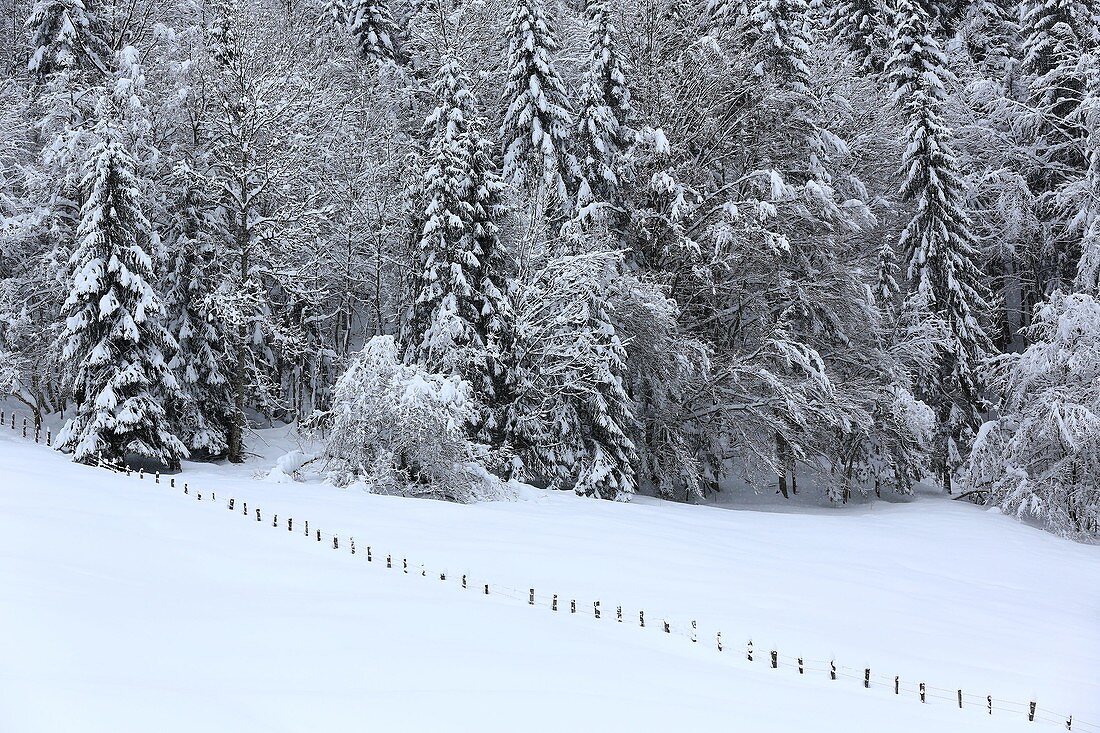 France, Haute Savoie, Le Grand Bornand