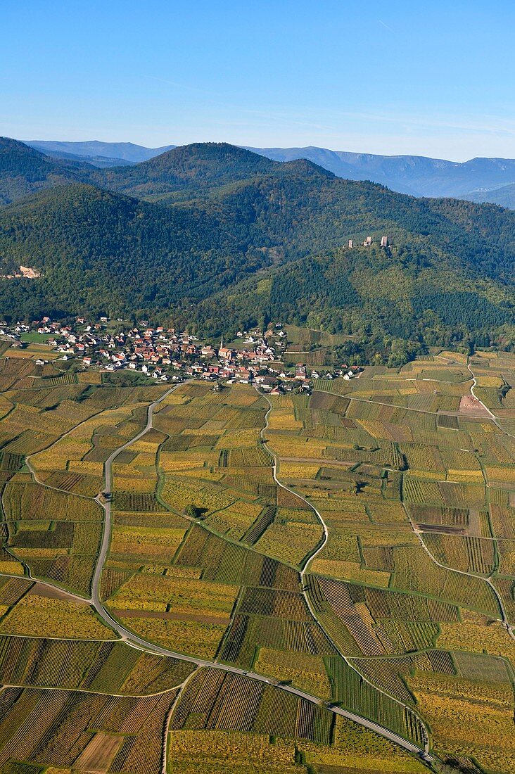 France, Haut Rhin, Alsace Wine Road, near Eguisheim village, Husseren les Chateaux (aerial view)
