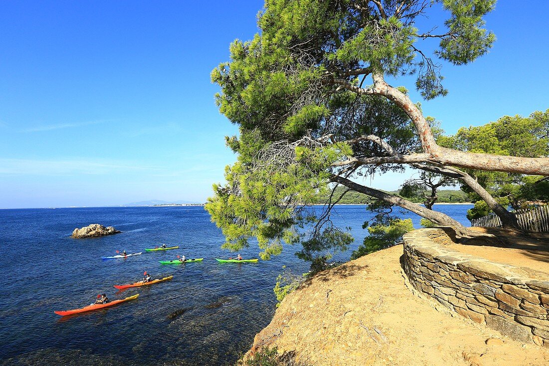 Frankreich, Var, La Londe les Maures, Pellegrin Strand, der Küstenweg