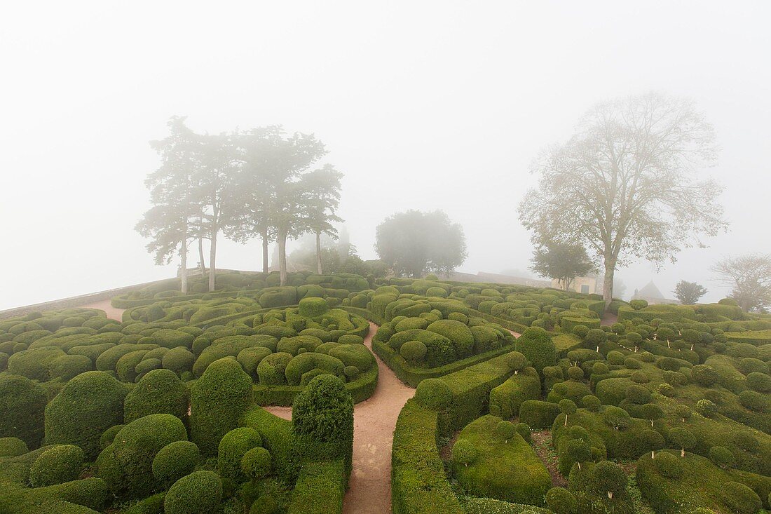 France, Dordogne, Perigord Noir, Dordogne Valley, Vezac, Marqueyssac castle, topiary garden designed by one of Le Notre student