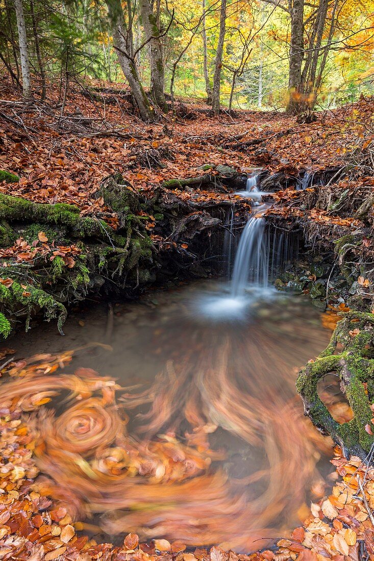 Frankreich, Isere, Parc Naturel Regional du Vercors (Regionaler Naturpark Vercors), Trieves, Richardiere, der Bach von Aupet fließt in der Nähe des Mont Aiguille