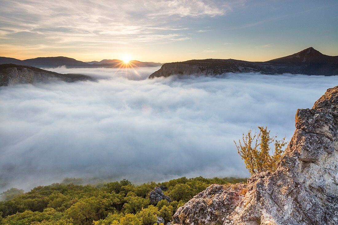 Frankreich, Alpes-de-Haute-Provence, Regionaler Naturpark Verdon, Grand Canyon von Verdon