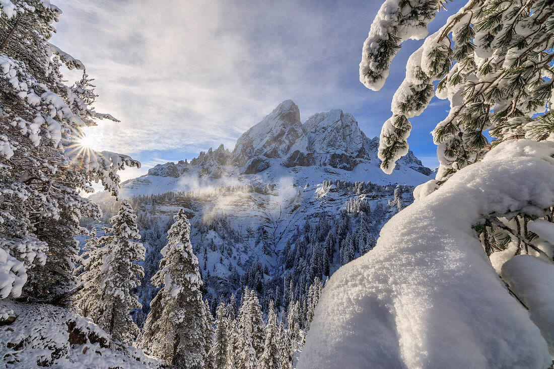 Die Sonne beleuchtet die schneebedeckten Bäume und Sass De Putia im Hintergrund, Passo Delle Erbe, Funes Tal, Südtirol, Italien, Europa