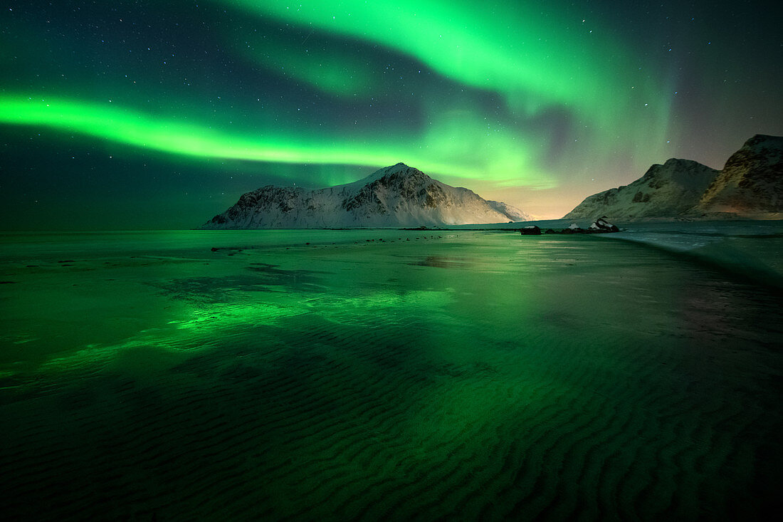 Aurora Borealis (Northern Lights) above Flakstad Beach, Lofoten Islands, Nordland, Norway, Europe